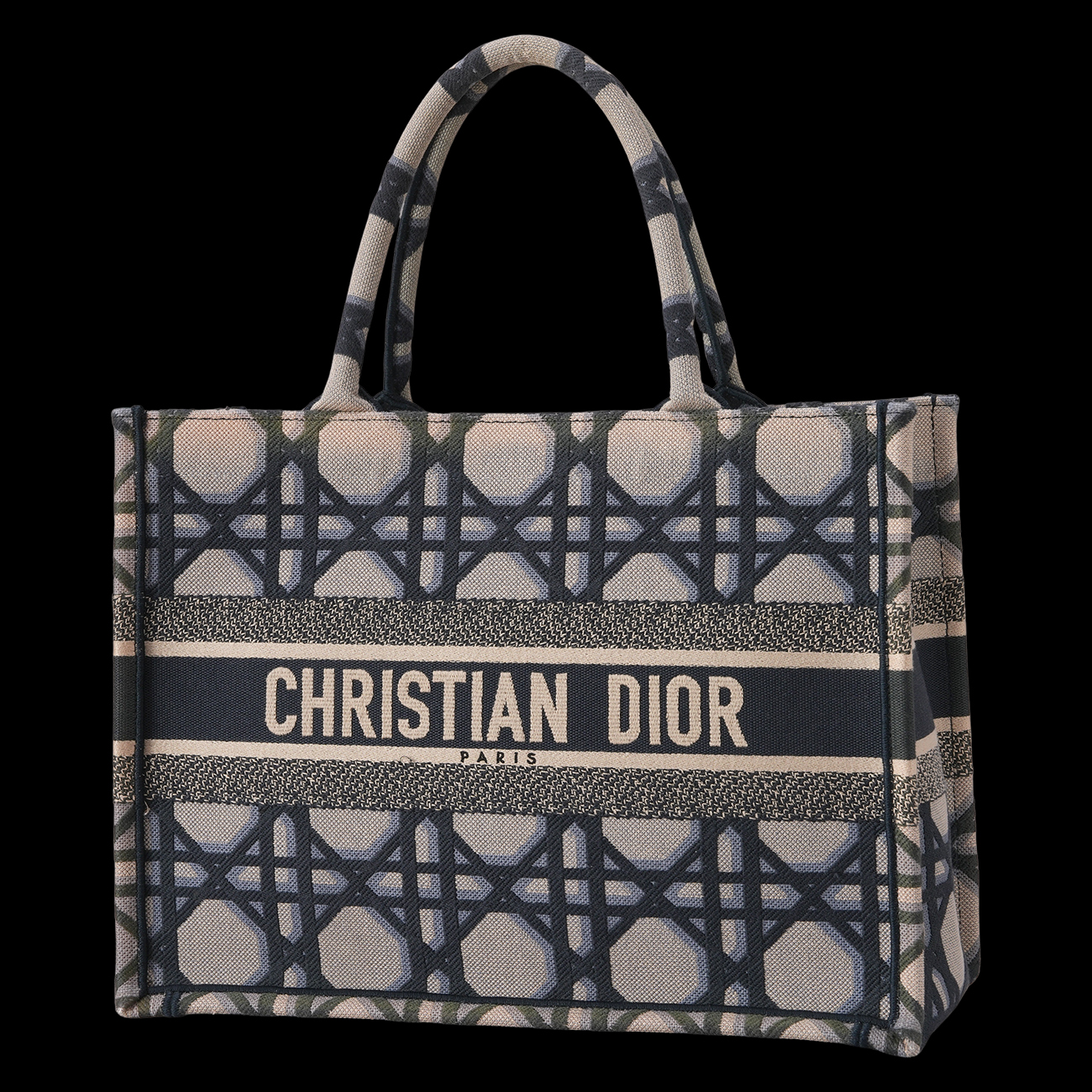 CHRISTIAN DIOR(USED)디올 시즌 북토트 미듐
